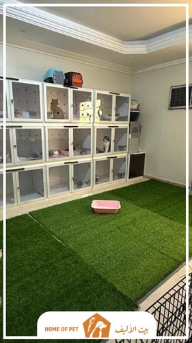 فندقة قطط بجدة