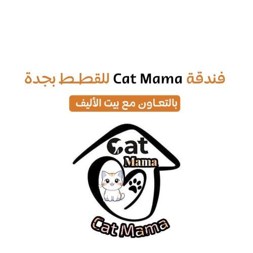 فندقة قطط بجدة Cat Mama