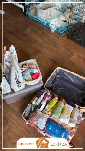 فندقة قطط بالطائف كيارا