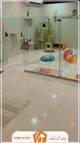 فندقة قطط بالرياض مهرة