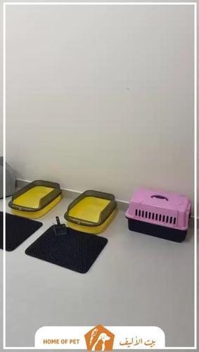 فندقة قطط بالرياض والخرج سكرة