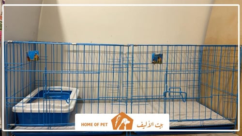 فندقة قطط بالمدينة المنورة عالم القطط