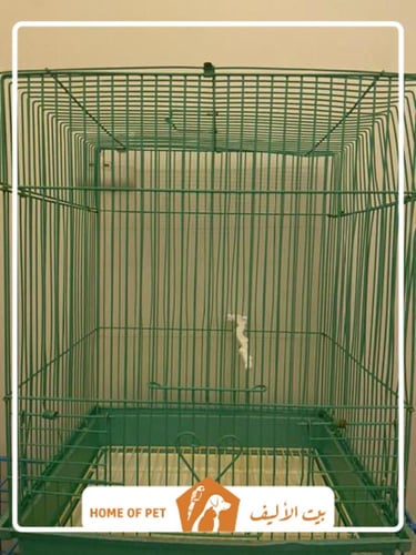 فندقة طيور بالرياض ريشة