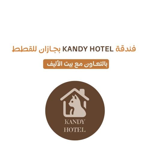 فندقة قطط بجازان KANDY HOTEL
