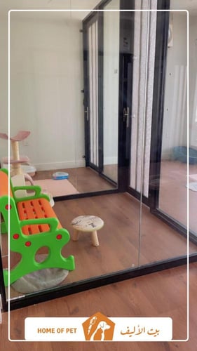 فندقة قطط بجدة دارين