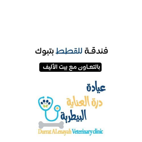 فندقة قطط بتبوك درة العناية البيطرية