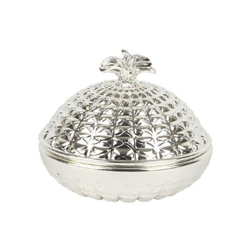 تمرية استيل فضي بغطاء