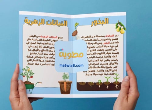 ‎مطوية دورات حياة النباتات - ثالث