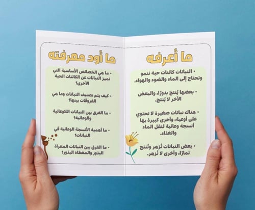 ‎مطوية النباتات ثاني متوسط