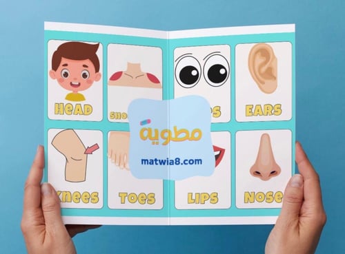 مطوية-My body - 1