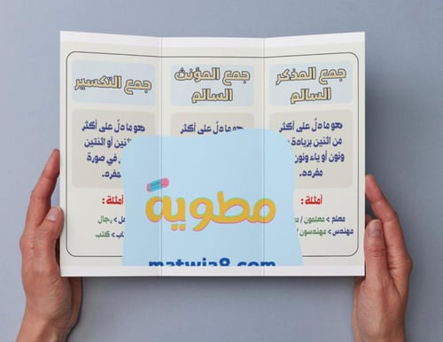 ‎مطوية أنواع الجموع