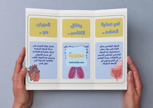 ‎مطوية الهضم والإخراج والتنفس والدوران - سادس