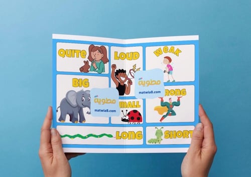 Beautiful nature-Vocabulary