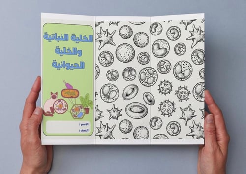 ‎مطوية الخلية النباتية والخلية الحيوانية - سادس