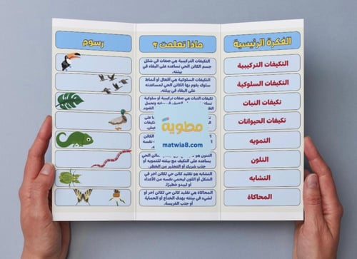 ‎مطوية التكيف والبقاء - خامس