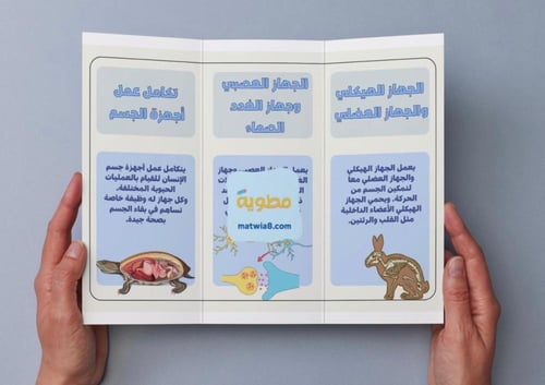 ‎مطوية الحركة والإحساس - سادس