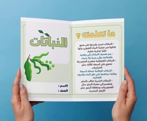 ‎مطوية النباتات ثاني متوسط