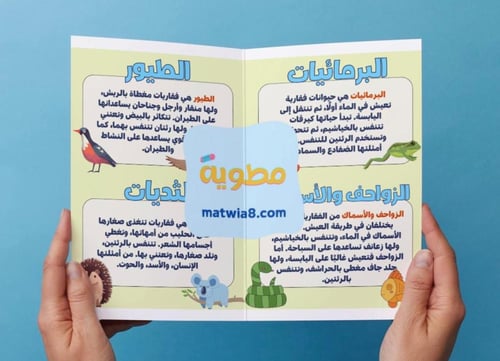 ‎مطوية دورات حياة الحيوانات - ثالث