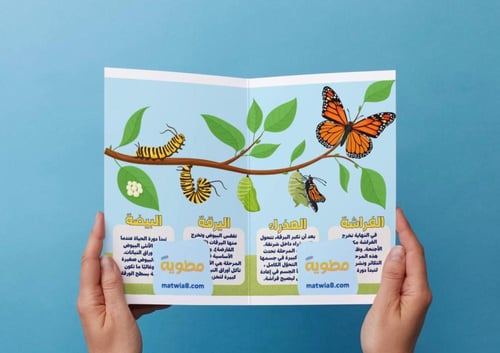 ‎مطوية نشاط درس الحيوانات تنمو وتتغير - دورة حياة...