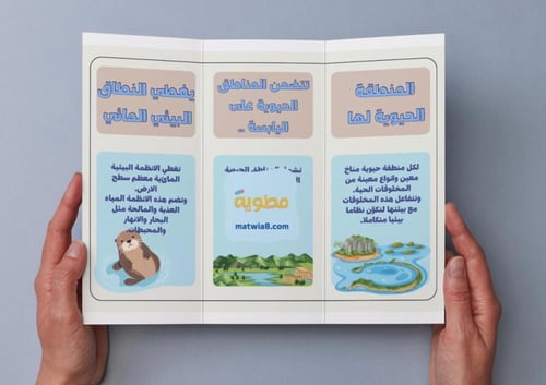 ‎مطوية مقارنة الأنظمة البيئية - سادس