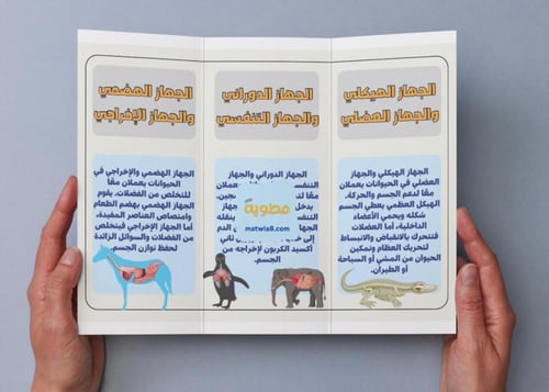 ‎مطوية أجهزة أجسام الحيوانات - رابع