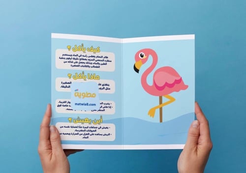 ‎مطوية نشاط علوم - حيواني المفضل وحاجاته