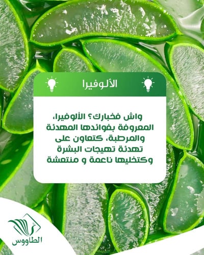 صابون الطاووس بالالوفيرا