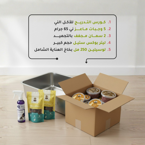 بكج المتابعين الجدد