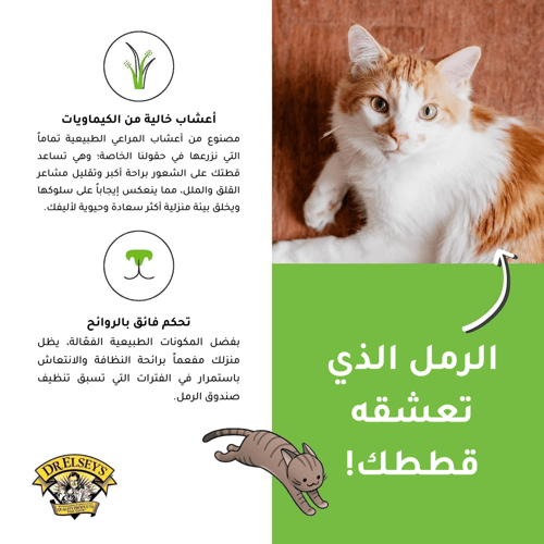 رمل د.ألسيز لمسة خارجية أخضر | حجم كبير -18.14 كجم