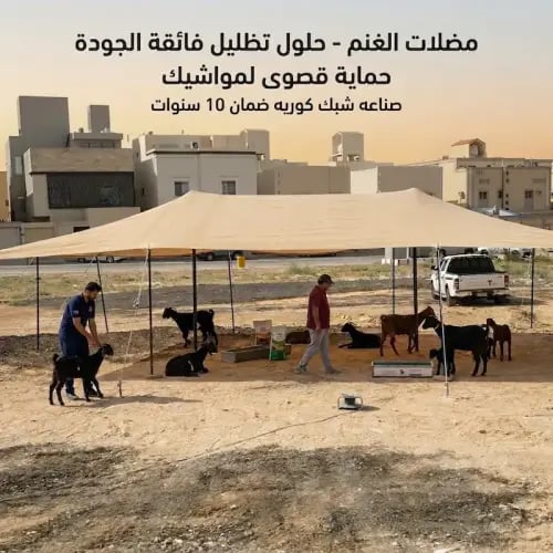 مضلة غنم شبك كوري 4*6متر 95 % 1 طبقه