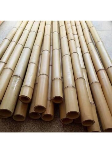 عصا بامبو بعدة اطوال