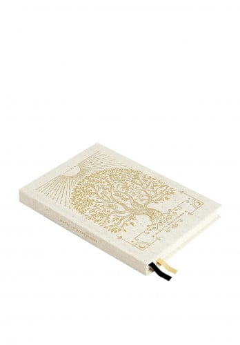 The five minute journal