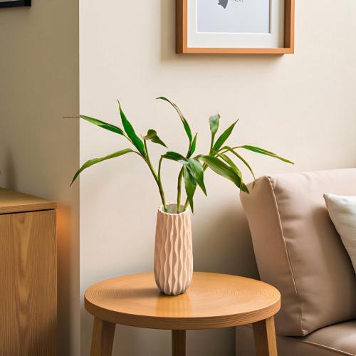 نبتة ساق البامبو 50 سم