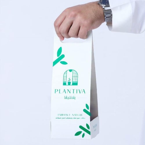 نبتة القلب مركن وردي فاتح