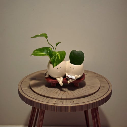 نبتة بوتس مع نبتة قلب مركن اصدقاء الطبيعة