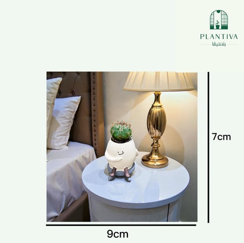 نبتة صبار كاكتوس مركن بوجه مبتسم