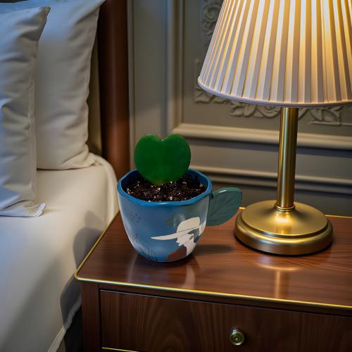 نبتة القلب مركن ازرق مودرن