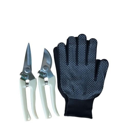 مقص لتقليم النبات مع قفازات واقية