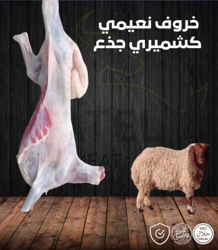 خروف نعيمي كشميري جذع وزن 11-12 كجم