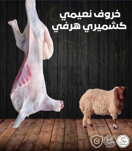 خروف نعيمي كشميري هرفي وزن 8-9 كجم
