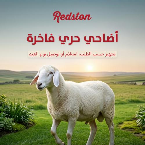 حجز أضحية حرّي فاخرة