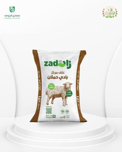Zad Hamlan 21