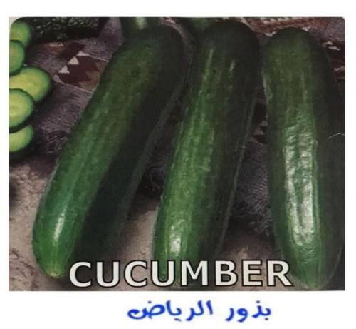 خيار ولاده 10 بذره F1