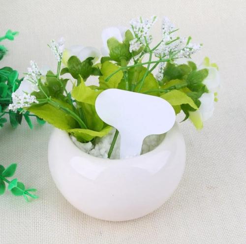 تاق زراعي 12 حبه