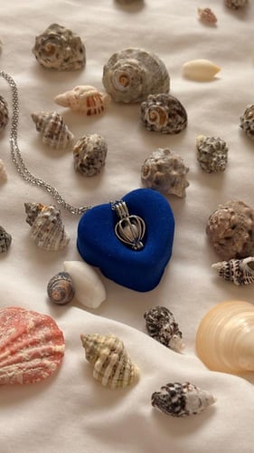 بكج المحار الاكثر مبيعاً