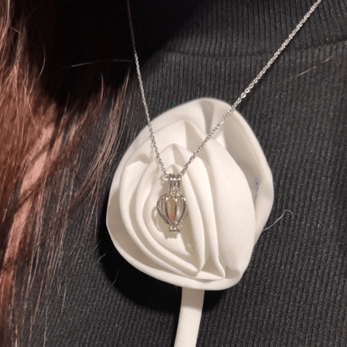 بكج المحار الاكثر مبيعاً