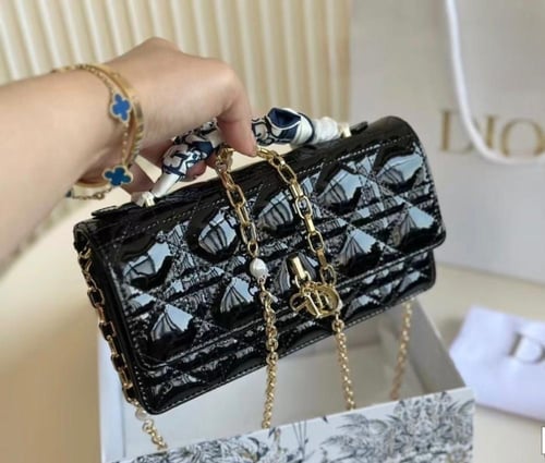 شنطة ديور10*21