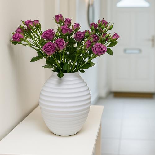 فازة ورد بيبي روز موف كيني