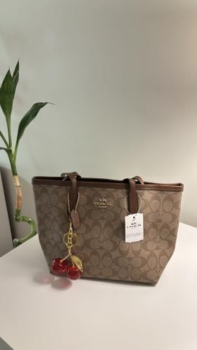 كوتش ميني - بني فاتح