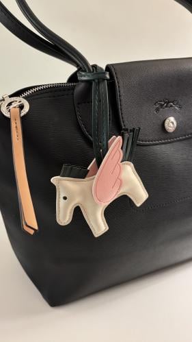 تعليقة شنطه